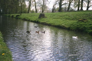 水鳥が浮かぶ運河