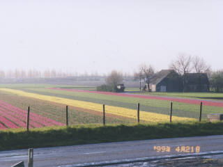 �`���[���b�v�̑�