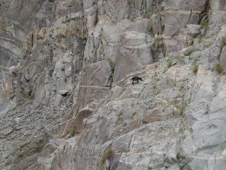 �쐶��Էނ�������