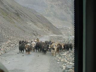 ����ȎR�̒�����l�ŗr����