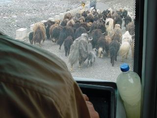 �A��ɂ������Ă܂���