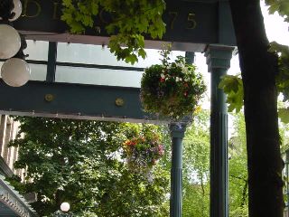 �Ԃ̑�������������ݸ��ް