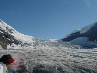 ����ޱ��X��