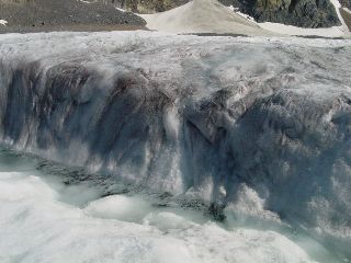 ����ޱ��X���A�n�����g���̉e���żެݼެݗn���Ă���