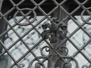 �h��ڽ��݉��{�̓S���̉Ԃ̑����h