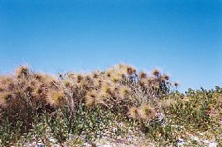 �쐶�̑���