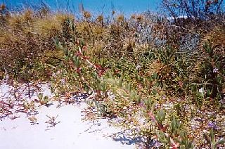 �쐶�̑���