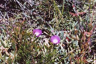 �쐶�̑���