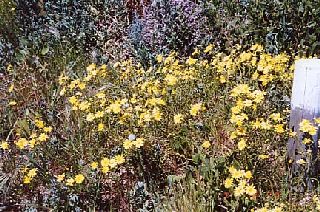 �쐶�̑���