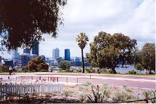 ���ꂢ�Ȍ����Ȃ̂ɕ���