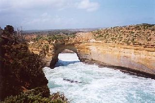 ��ɍӂ���r�g