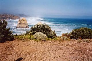 ����������Ō�����