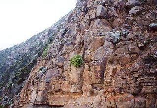 ������̗Y��Ȏ��R