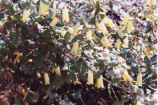 �܂��܂���