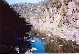 �R����̂悤