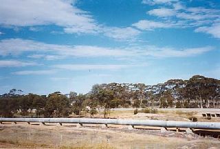 �߲��ײ݂����H����