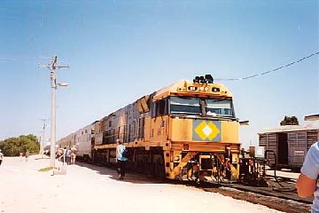 ���߂Č���E�p�̑S�i