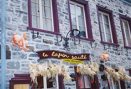 ����I�u�E�T�M�̃\�e�[�v�Ƃ�������ڽ���