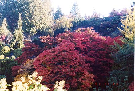 �ݹݶް��݂̍g�t