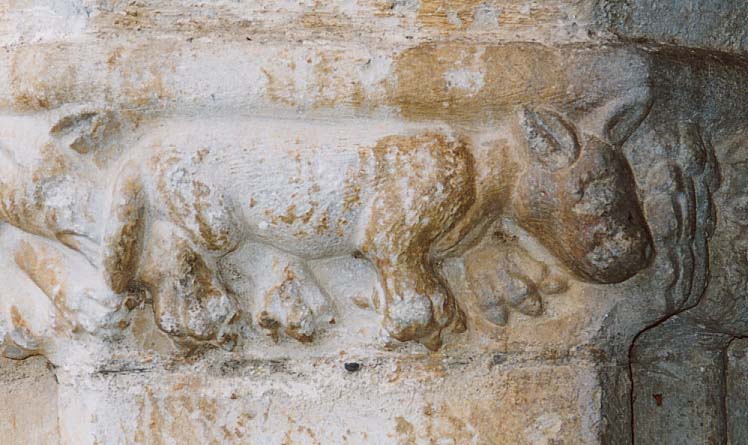 �Β��̒���