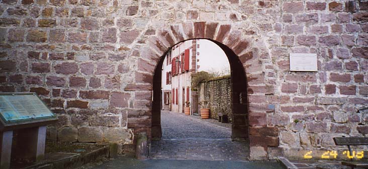 �T���W���b�N��