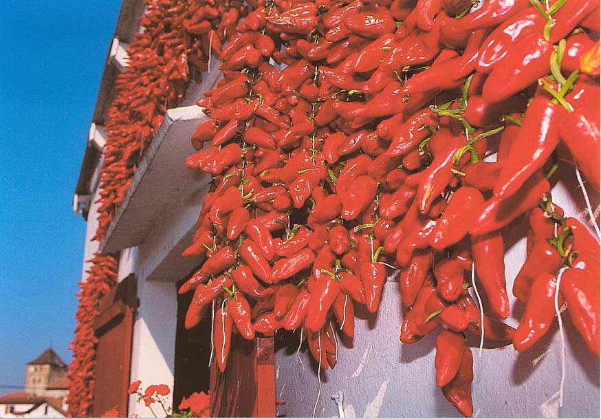 �o�X�N�����̓��h�q