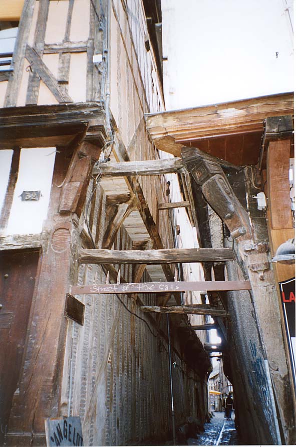 �L�̘H�����̓����