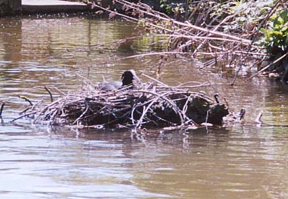 ���U����