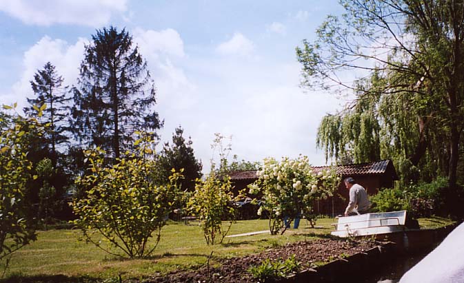 �{�[�g�ł���ė��܂���