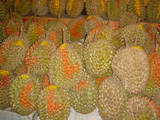 �L��������ȃ}�A���S�X�`���A�y���L�̐F�ŎY�n�����