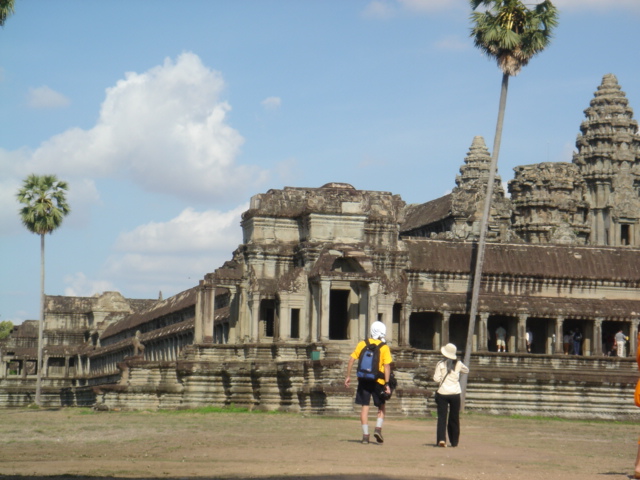 �l�M�{�E�Y�̂悤�Ȗ؁X