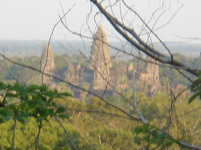 �A���R�[�����b�g���i