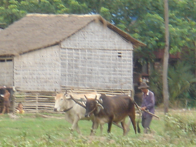 ��������̌i�F