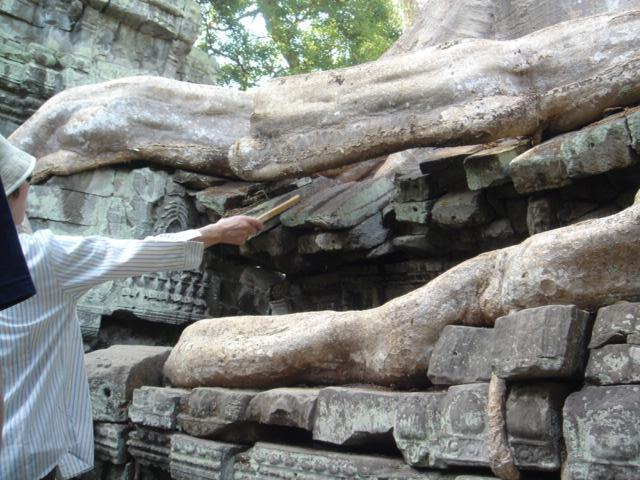 �^�E�v���[�����