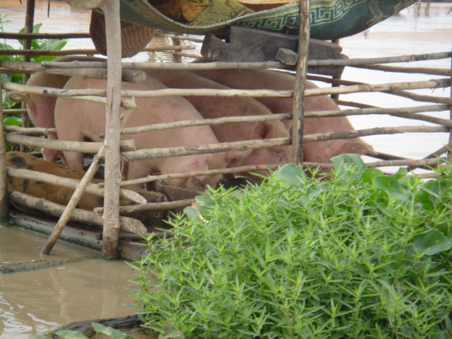 �����̃u�^����