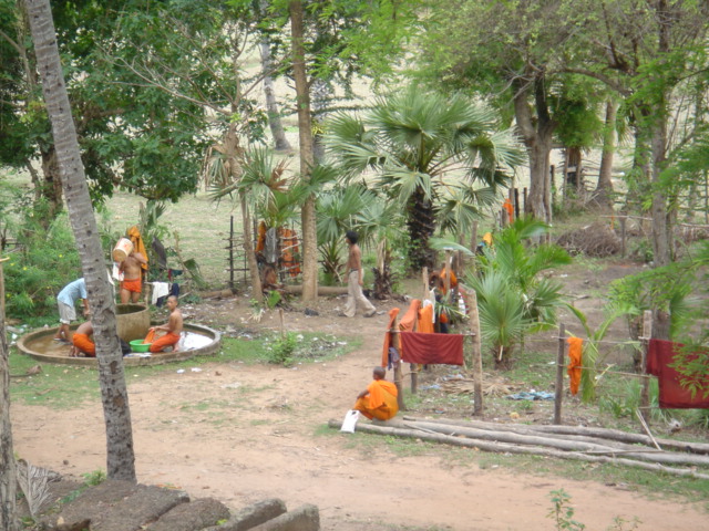 �V����̐��V�сH