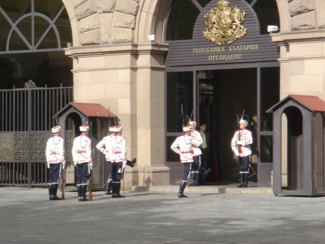 �q���̌��