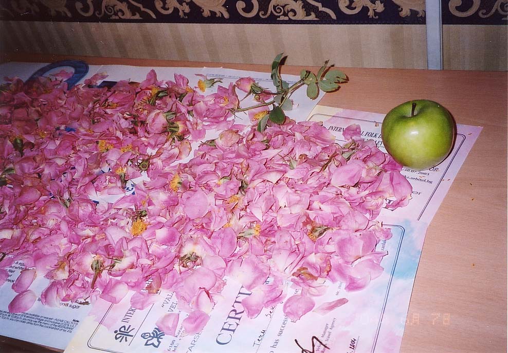 �E�񂾃o���̉Ԃт������