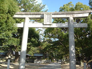 ���A�_��