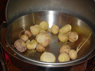boiled turnip